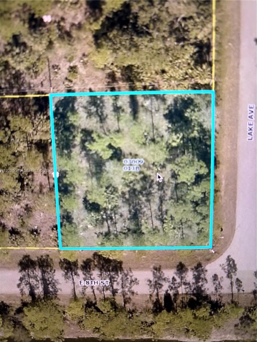807 8th St E, Lehigh Acres, FL 33972