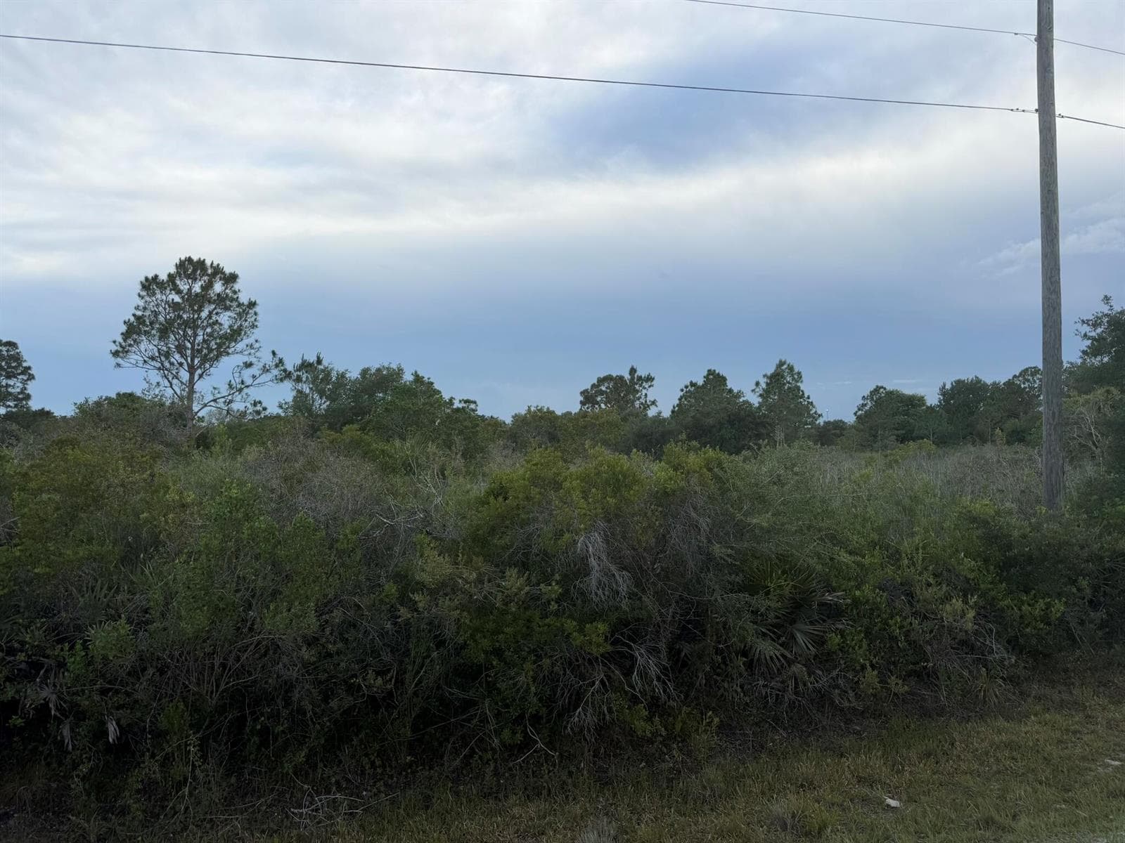 15840 NW 298th Street, Okeechobee, FL 34972 photo 2