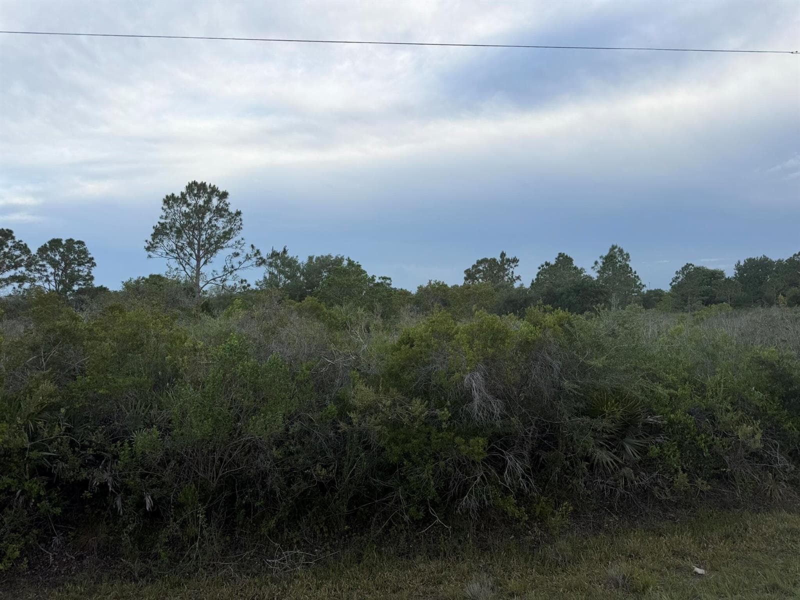 15840 NW 298th Street, Okeechobee, FL 34972 photo 3