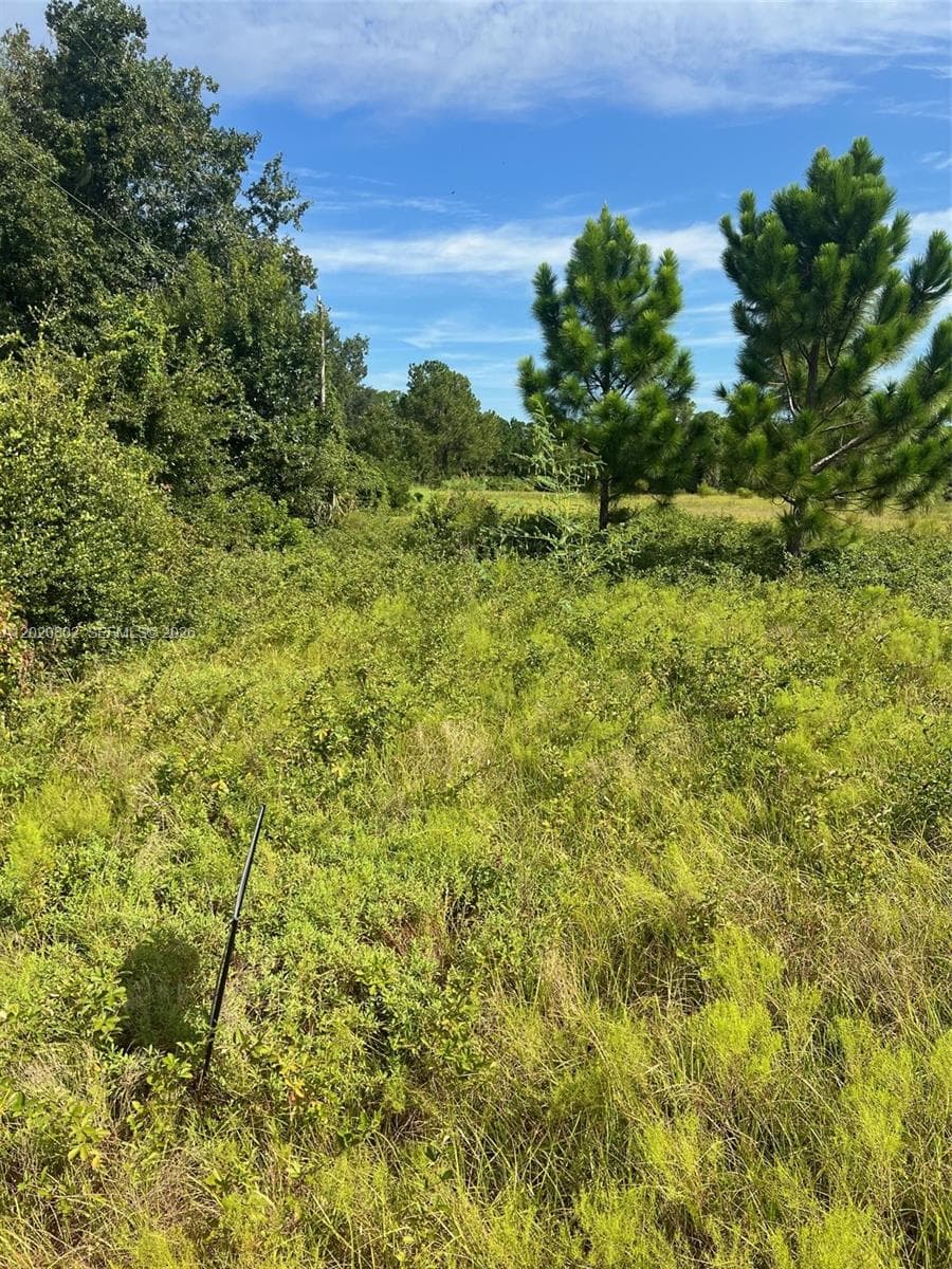 Huntington Shortcut Rd, Cresent City FL 32112 photo 2