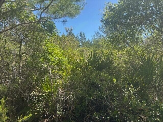 0 Golden Shores Blvd, Mims, FL 32754 photo 3