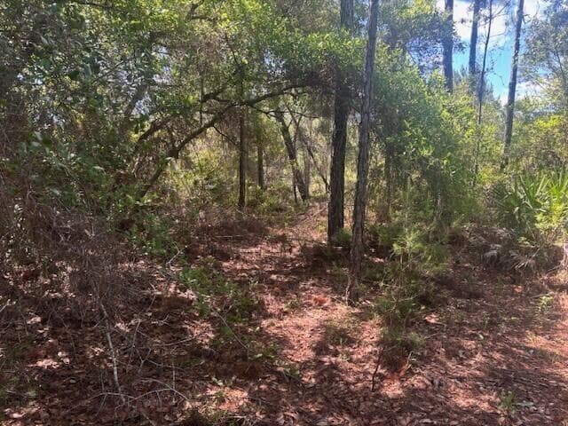 0 Golden Shores Blvd, Mims, FL 32754 photo 5