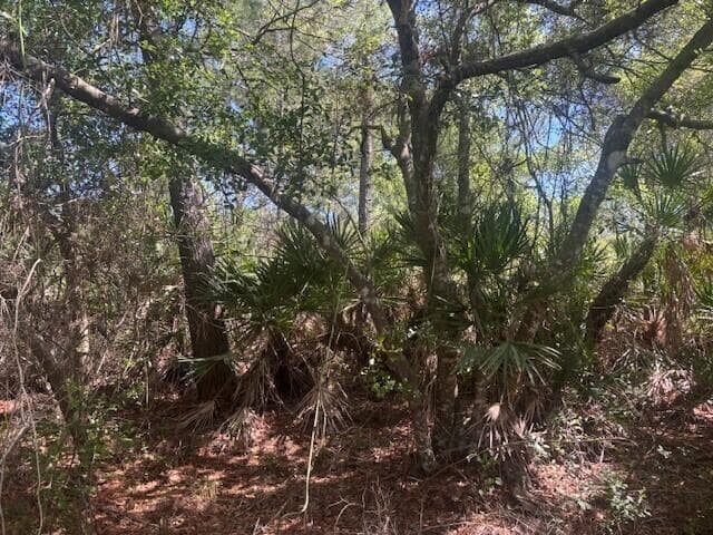 0 Golden Shores Blvd, Mims, FL 32754 photo 4