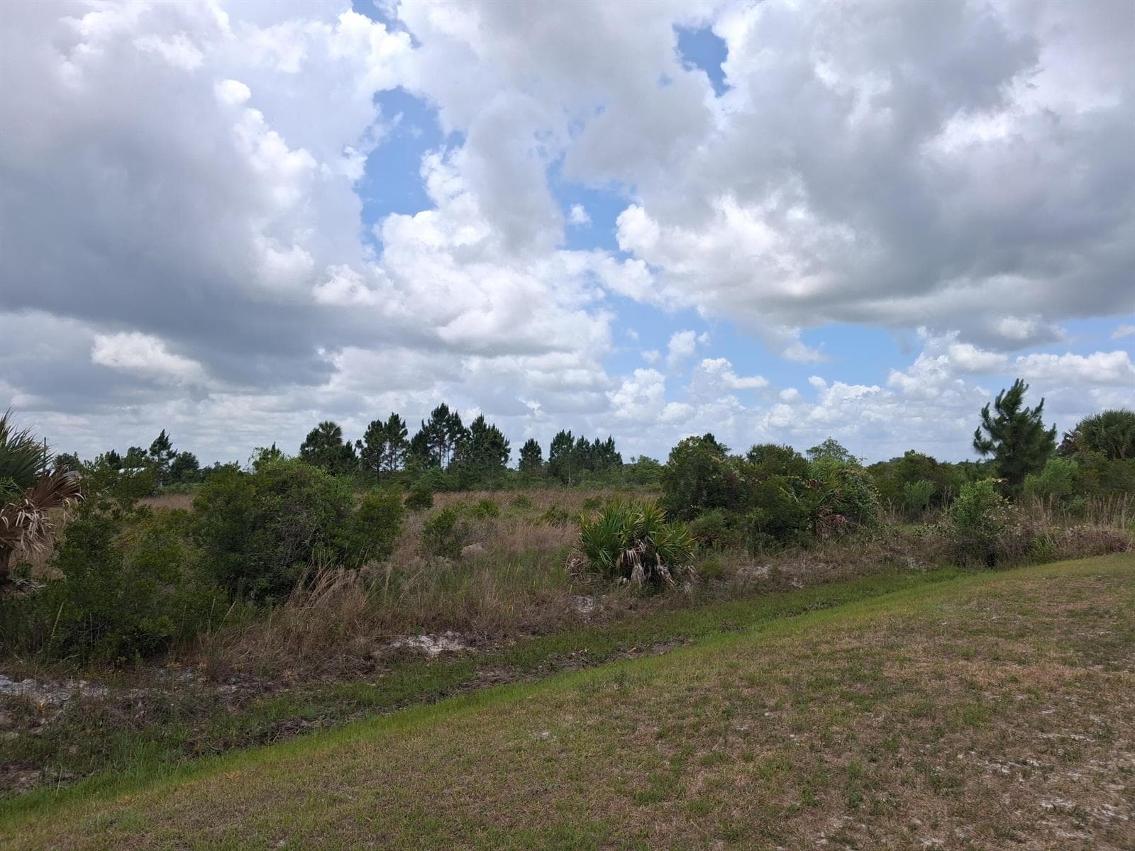18668 NW 258th Street, Okeechobee, FL 34972 photo 3