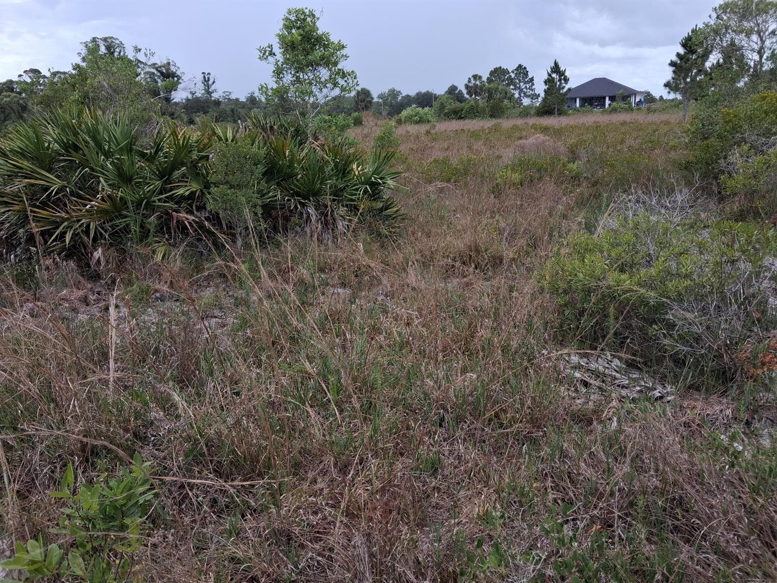 18668 NW 258th Street, Okeechobee, FL 34972 photo 5