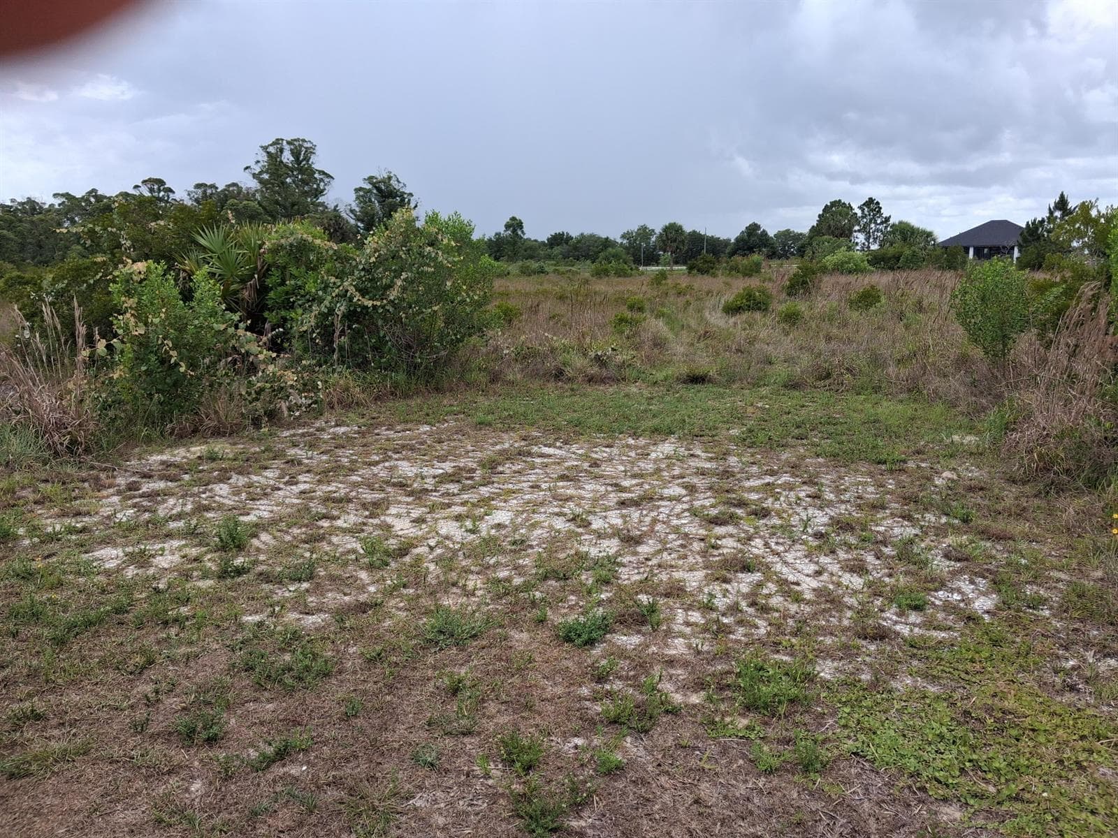 18668 NW 258th Street, Okeechobee, FL 34972 photo 4