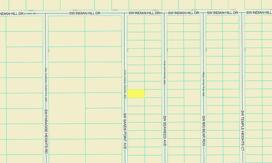Tbd Sw Sands Point Ave, FL 34431 photo 3