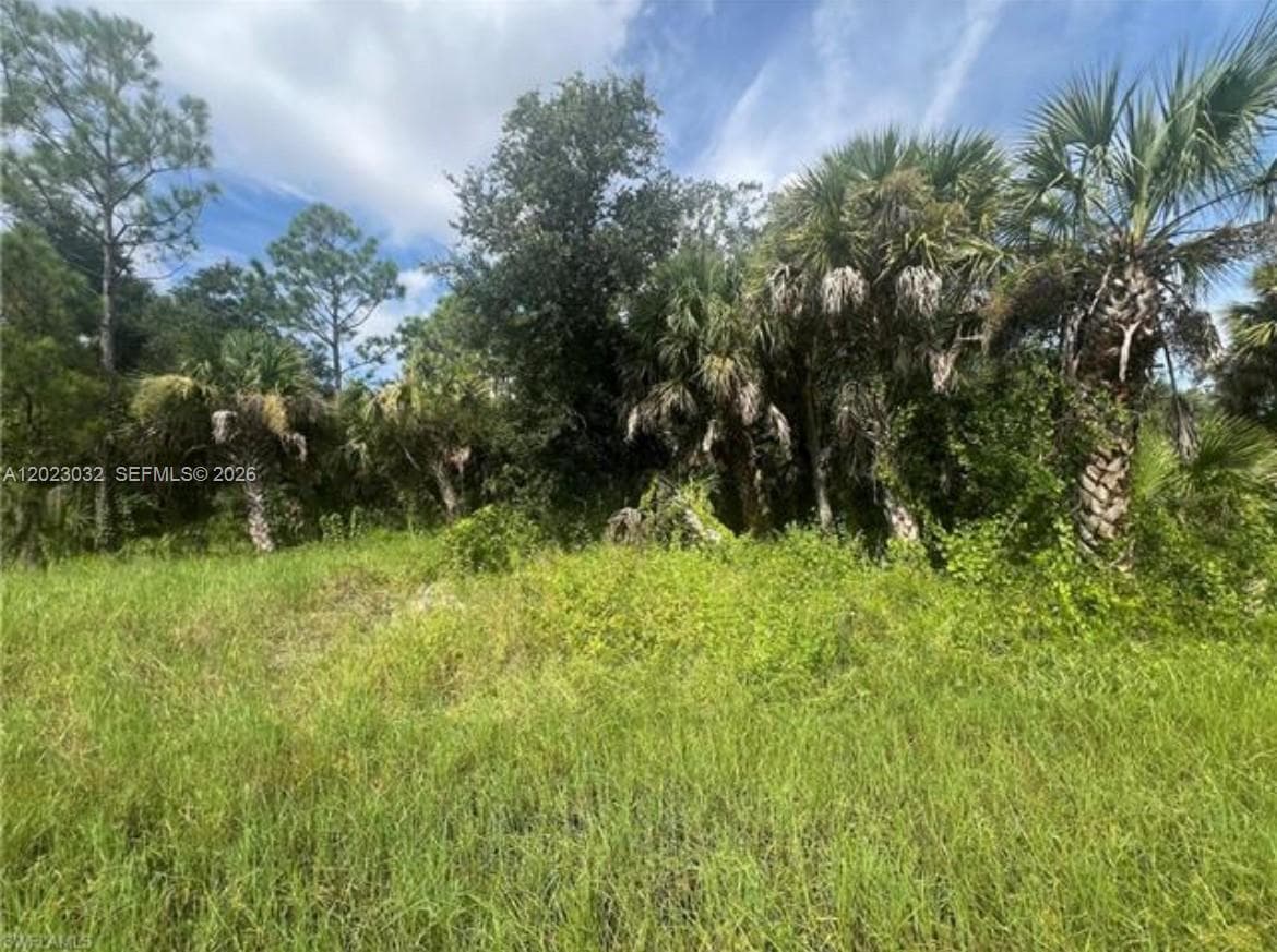 441 Admiral St, Port Charlotte, FL 33954 photo 3