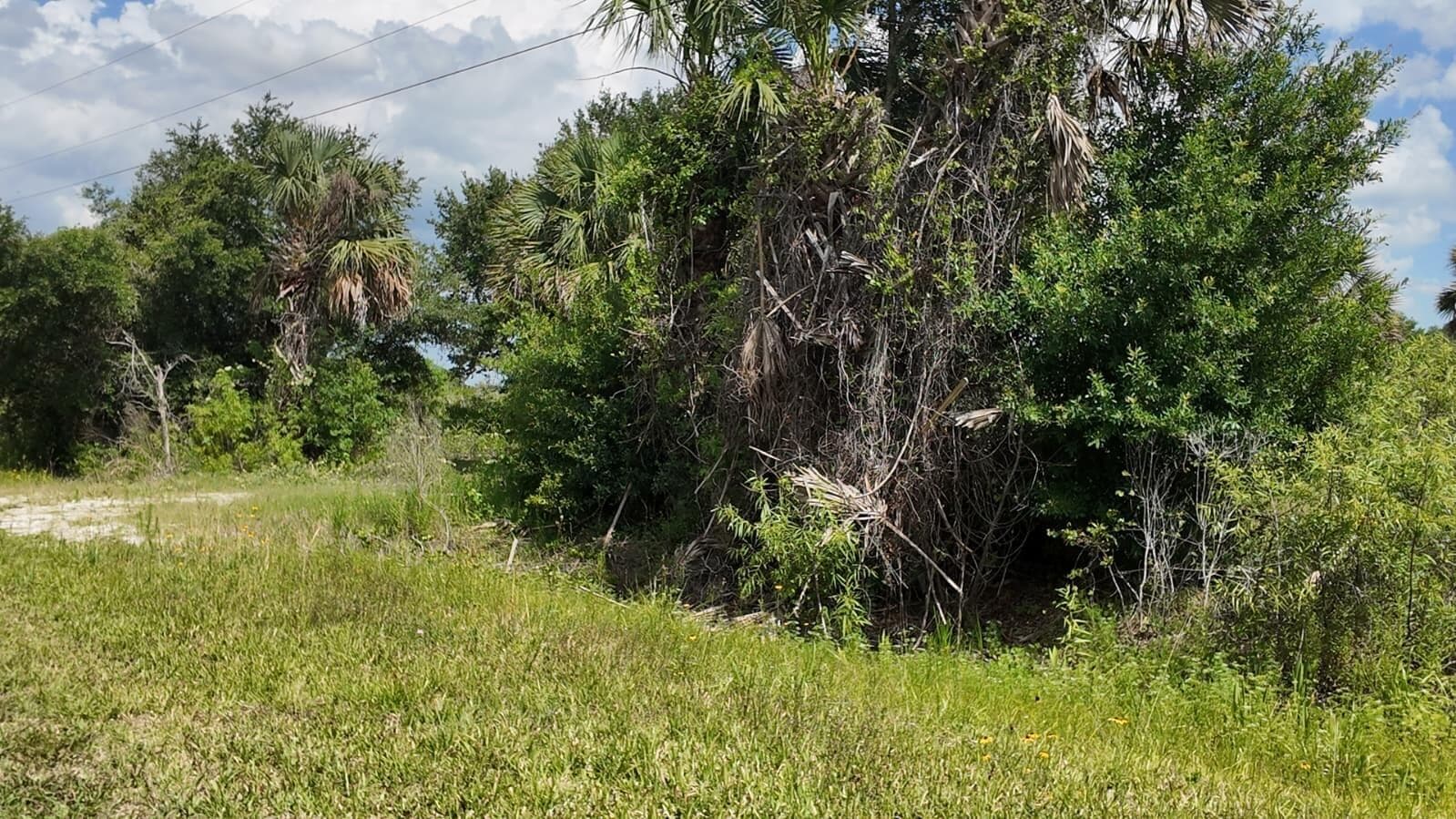18980 NW 274th Street, Okeechobee, FL 34972 photo 2