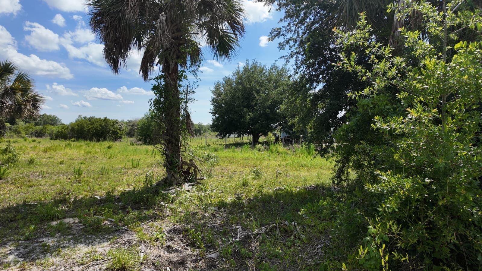 18980 NW 274th Street, Okeechobee, FL 34972 photo 3