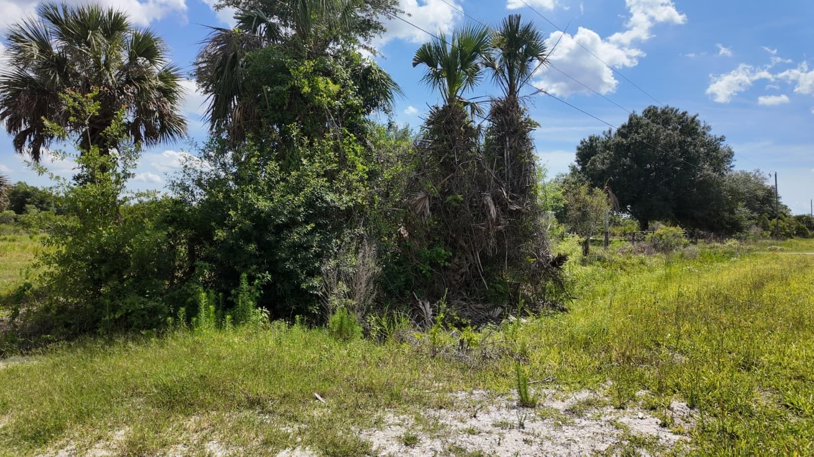 18980 NW 274th Street, Okeechobee, FL 34972 photo 5