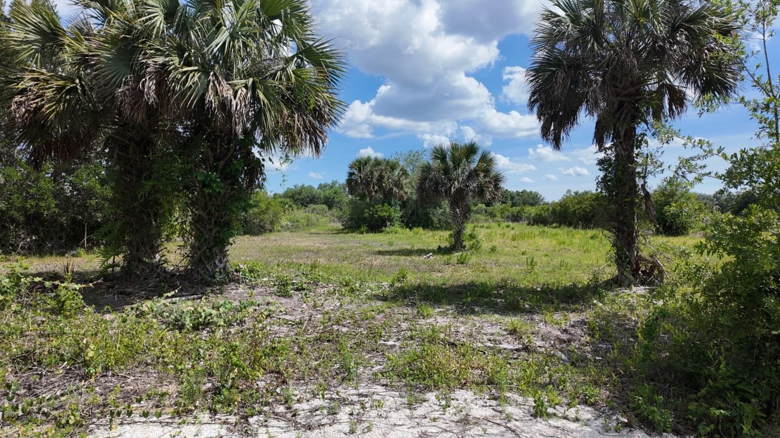 18980 NW 274th Street, Okeechobee, FL 34972 photo 4