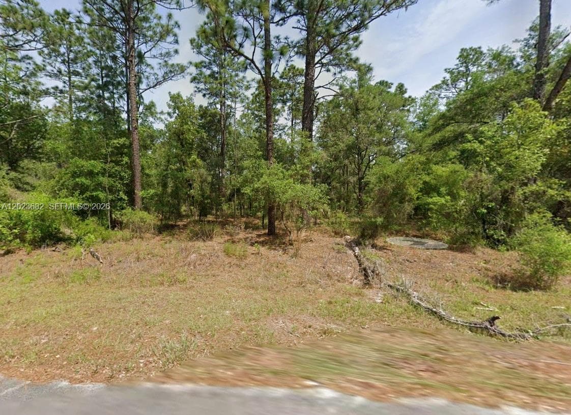 Lot 47 Shamrock Avenue, Other City - In The State Of Florida, FL 34431 photo 2
