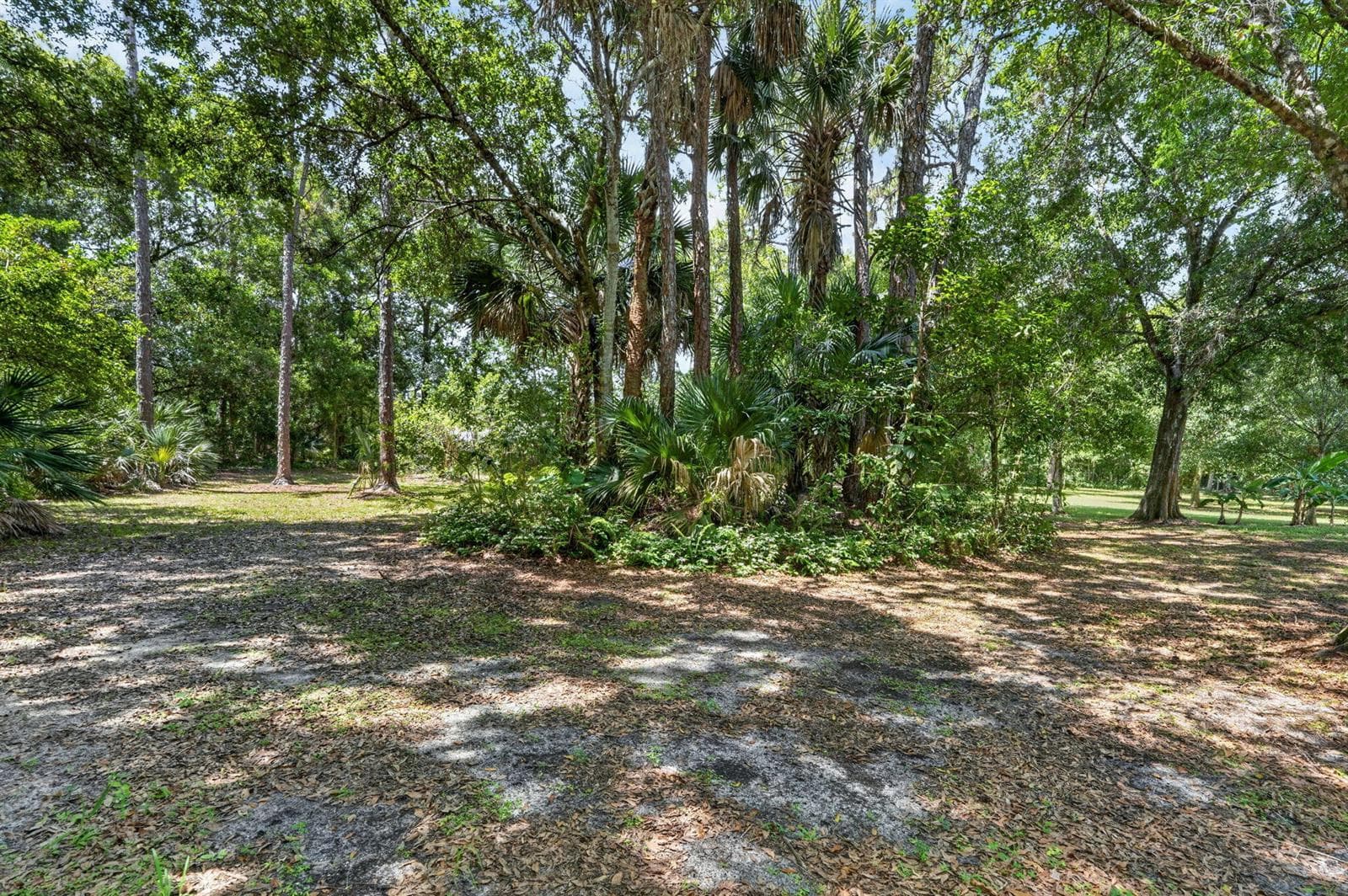 15721 111th Terrace N, Jupiter, FL 33478 photo 5
