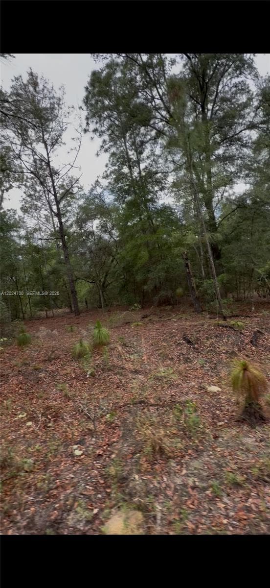 1373 SW 153rd Ave, Ocala, FL 34481 photo 3