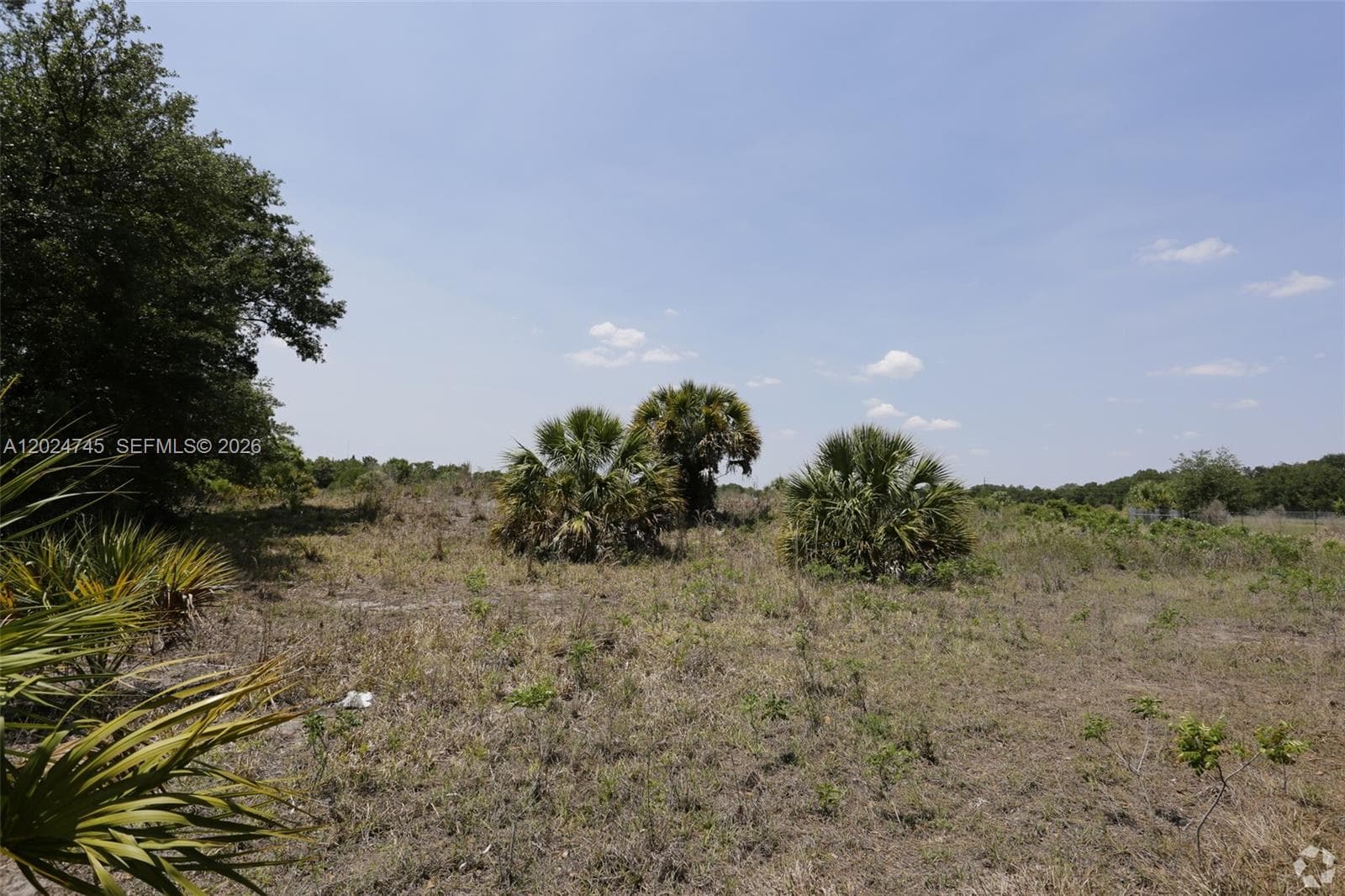 1527 N HIGHWAY 17, Unincorporated Dade County, FL 34266 photo 3