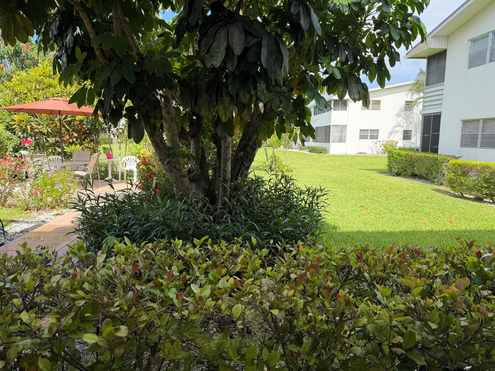 162 Windsor H, West Palm Beach, FL 33417 photo 4