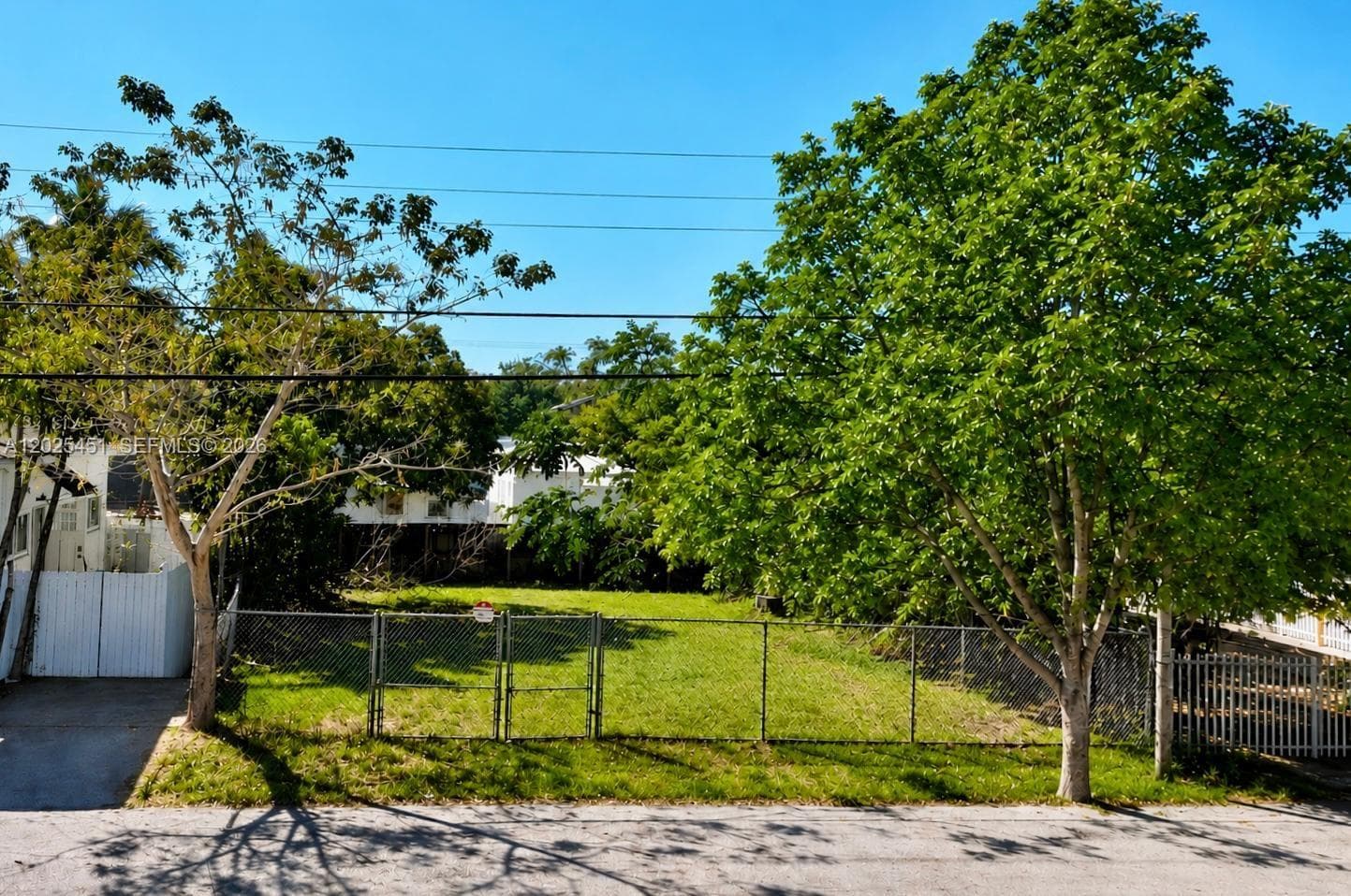 3828 Washington Ave, Miami, FL 33133 photo 4
