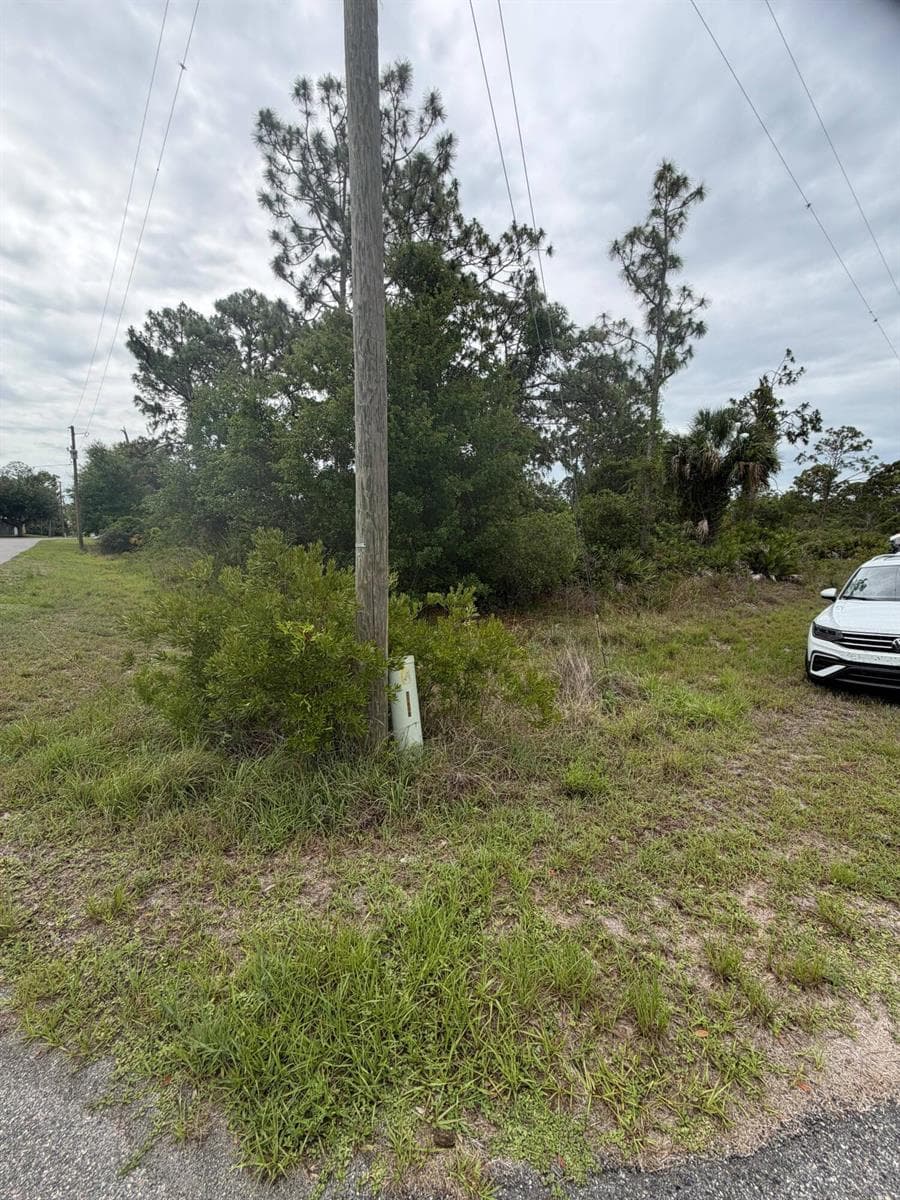 1170 Kingfisher Avenue NW, Lake Placid, FL 33852 photo 2