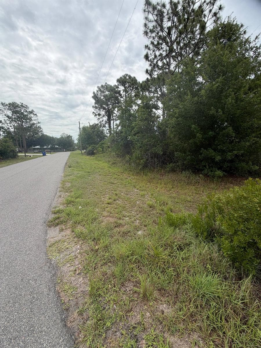 1170 Kingfisher Avenue NW, Lake Placid, FL 33852 photo 3