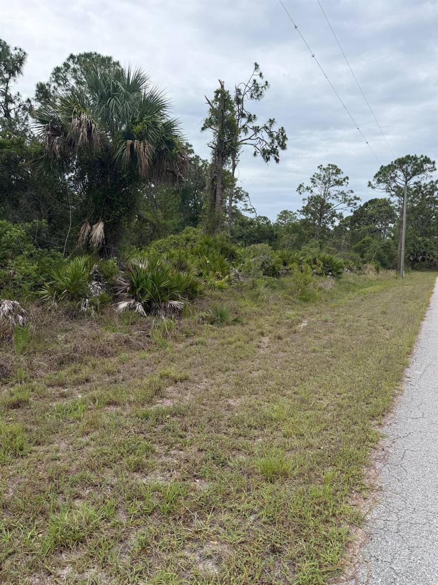 1170 Kingfisher Avenue NW, Lake Placid, FL 33852 photo 5