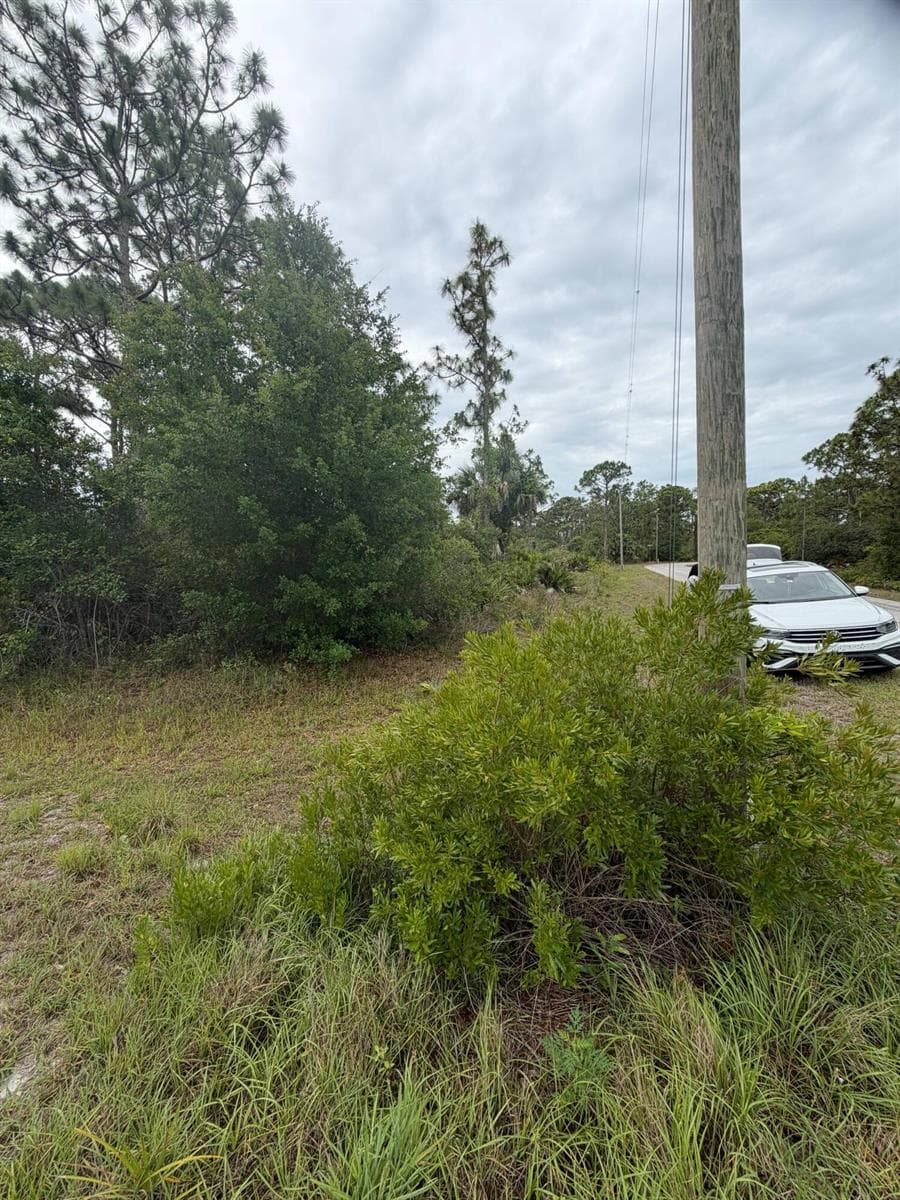 1170 Kingfisher Avenue NW, Lake Placid, FL 33852 photo 4