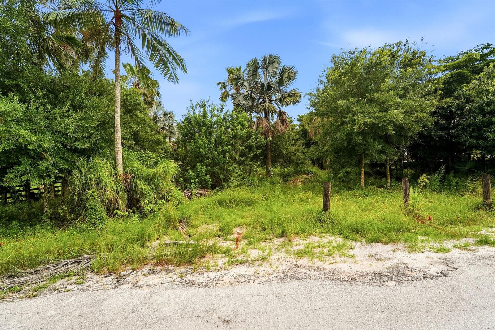 9080 NW 72nd Street, Parkland, FL 33067 photo 5