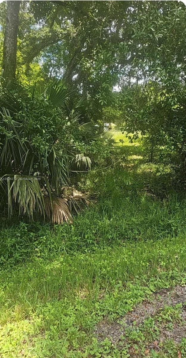 81 Magnolia  Ct Okeechobee, Other City - In The State Of Florida, FL 34972 photo 5