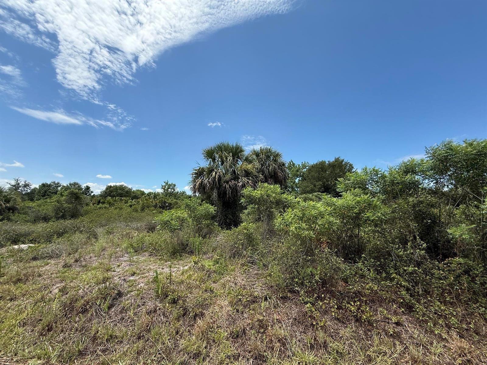 20174 NW 268th Street, Okeechobee, FL 34972 photo 2