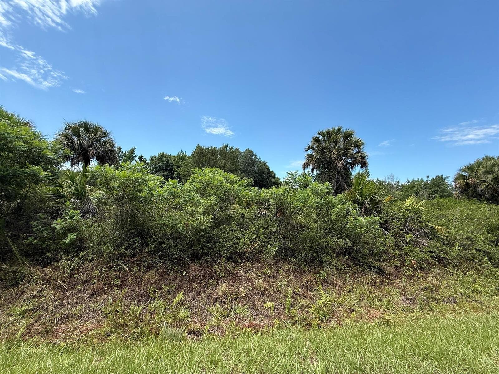 20174 NW 268th Street, Okeechobee, FL 34972 photo 3