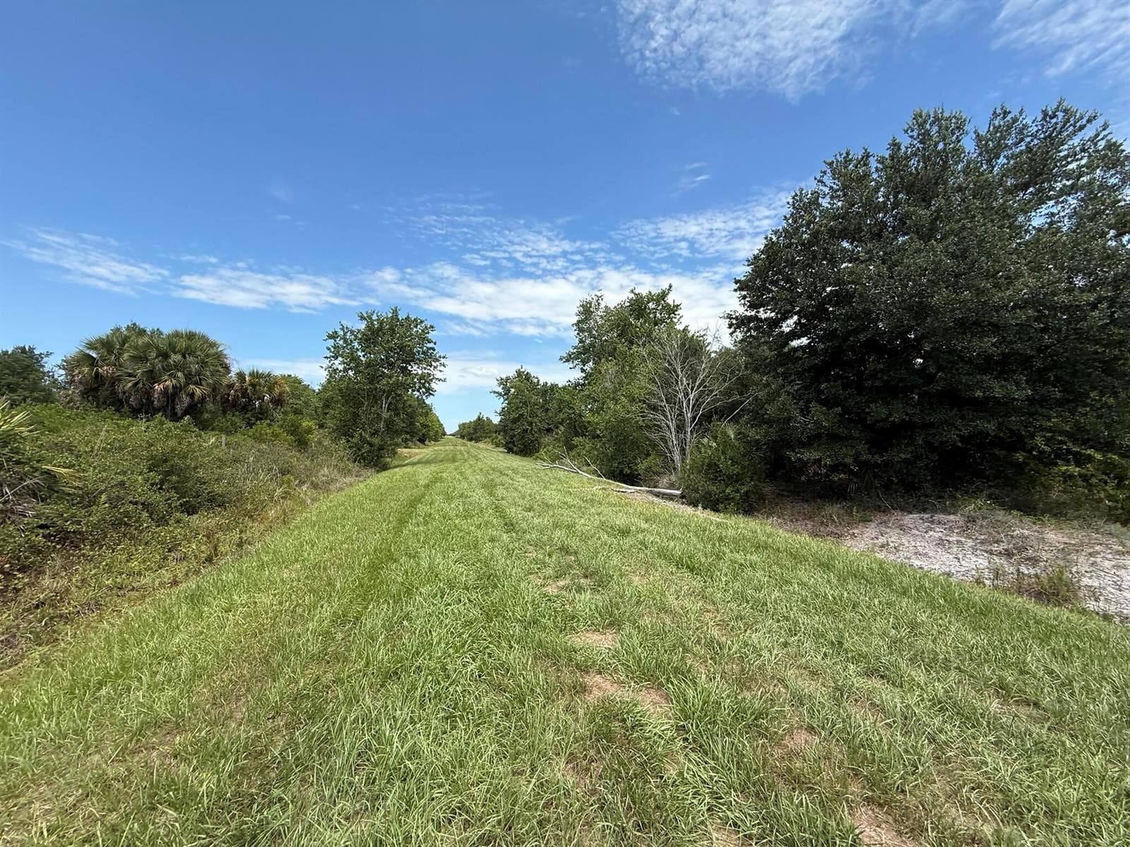 20174 NW 268th Street, Okeechobee, FL 34972 photo 5