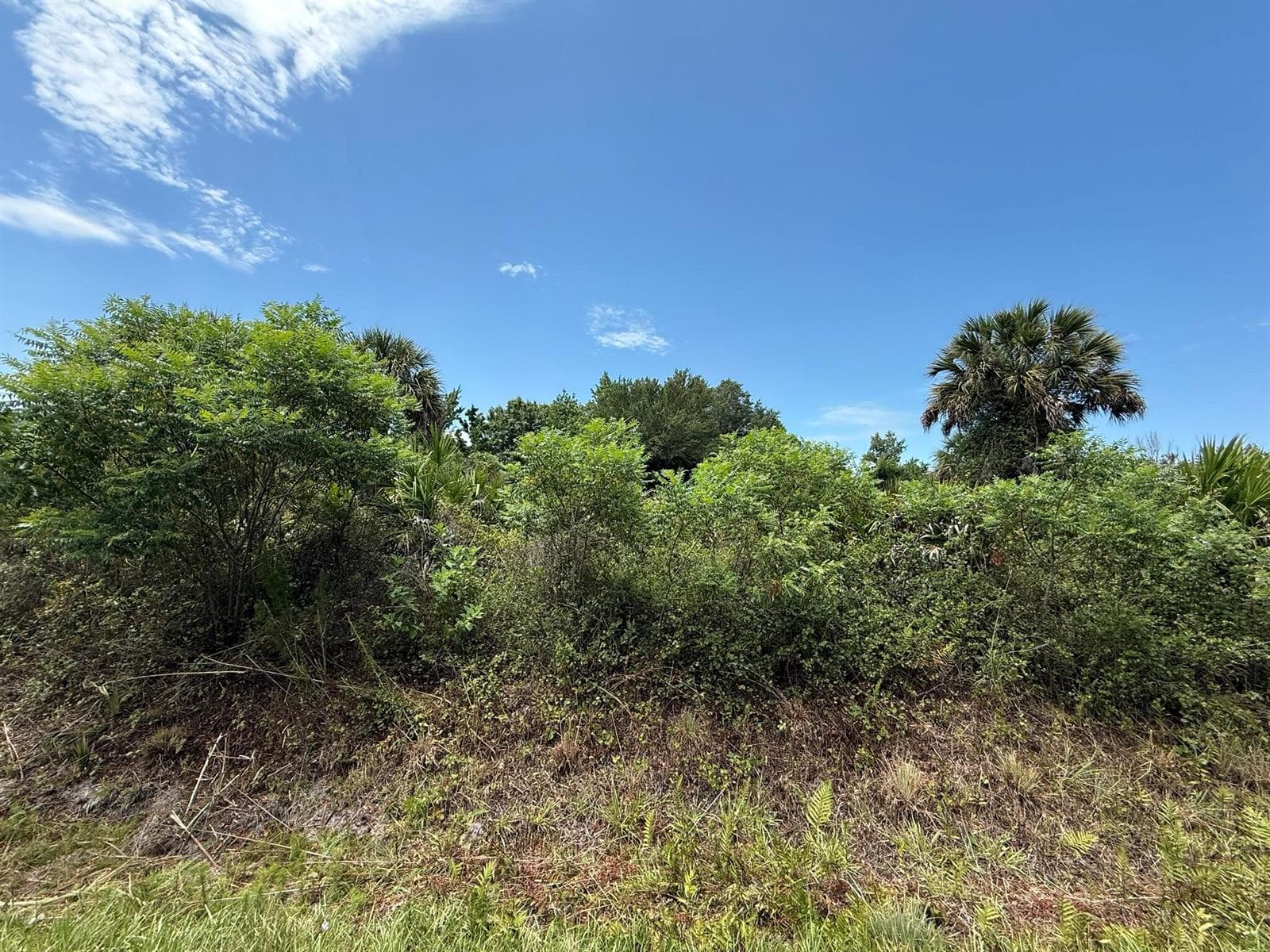 20174 NW 268th Street, Okeechobee, FL 34972 photo 4