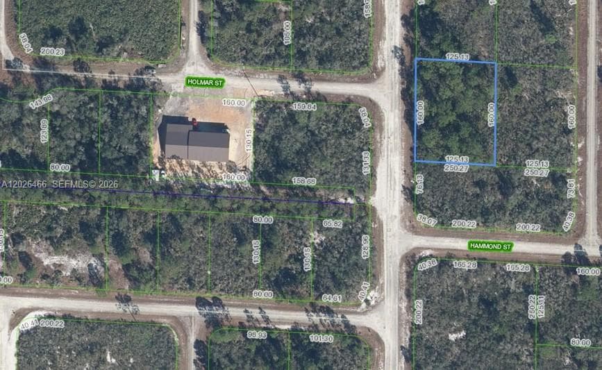 1139 BROOK HOLLOW RD, Lake Placid FL 33852 photo 2