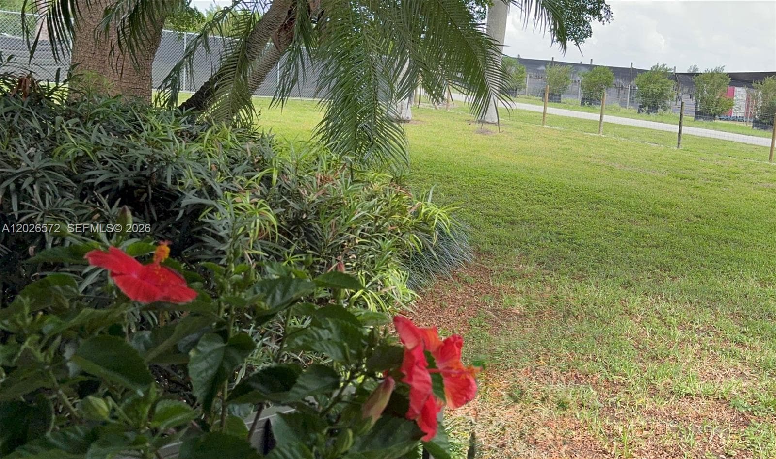 19505 SW 272nd St, Homestead, FL 33031 photo 3