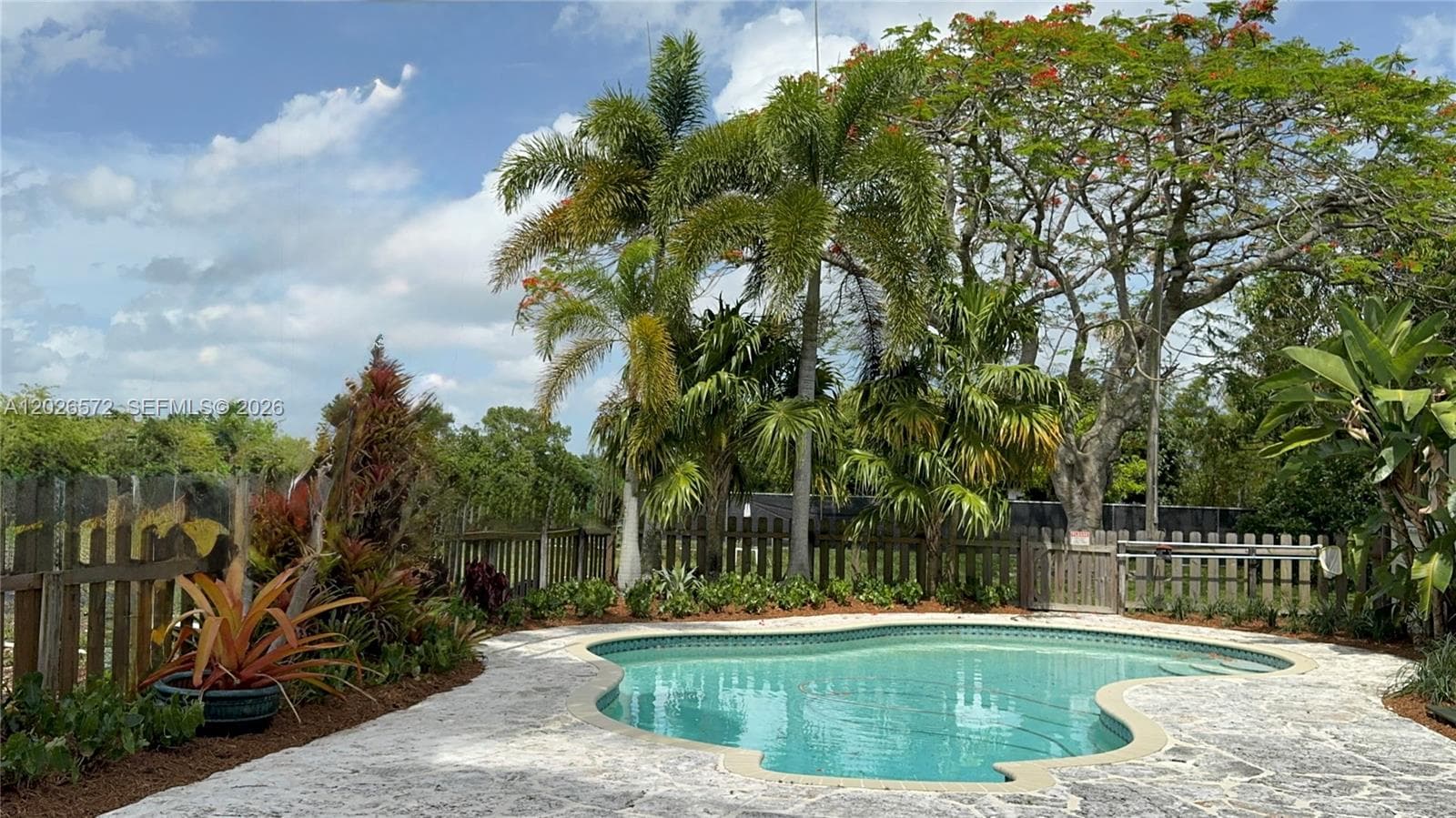 19505 SW 272nd St, Homestead, FL 33031 photo 5