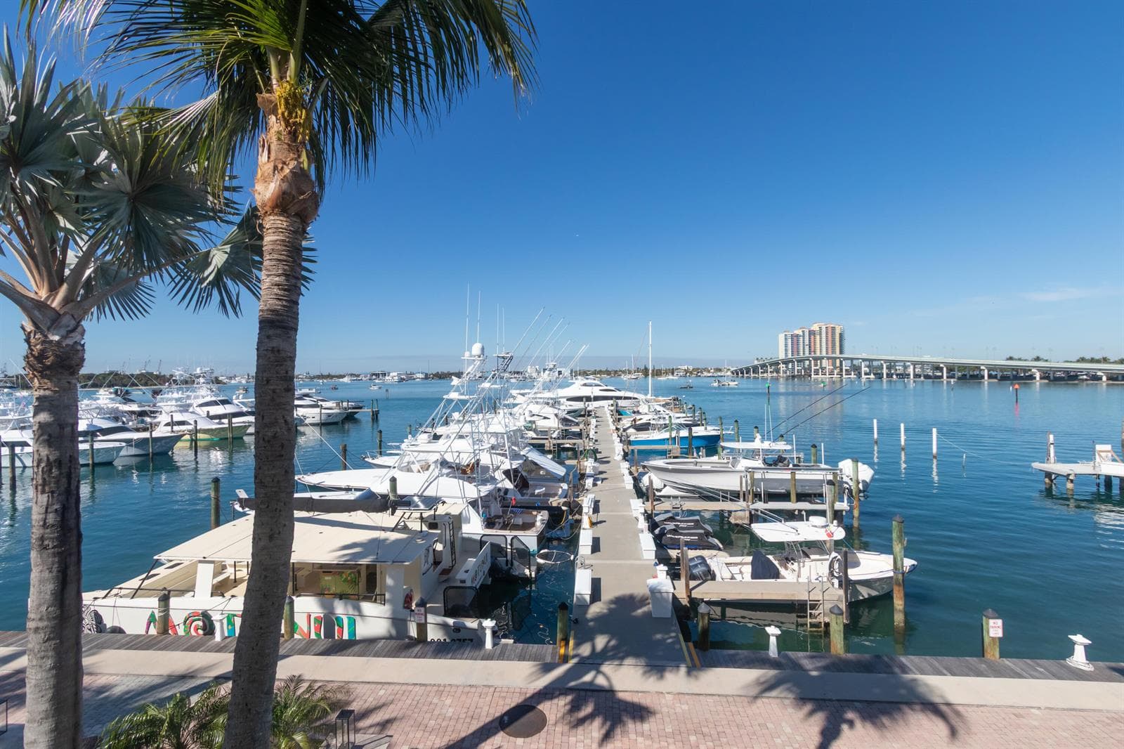 184 Lake Drive # 3102, Palm Beach Shores, FL 33404 photo 2