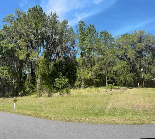 3303 N Canterbury Lake Drive, FL 34442 photo 5