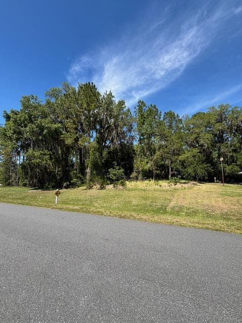 3303 N Canterbury Lake Drive, FL 34442 photo 4