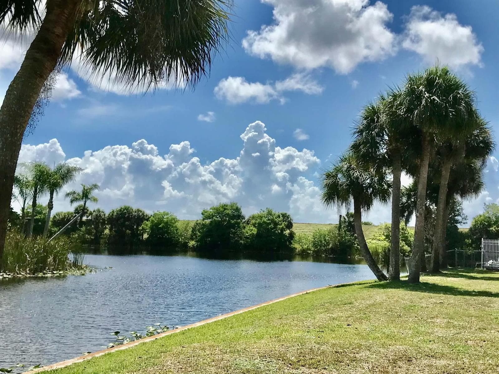 1115 Elm Street, Okeechobee, FL 34974 photo 3