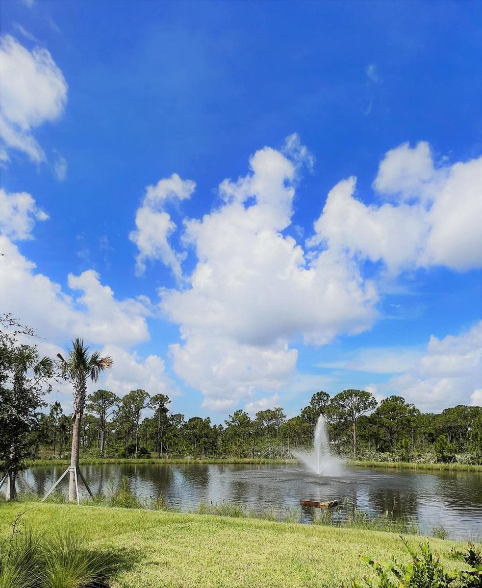 240 Osprey Preserve Boulevard, Jensen Beach, FL 34957 photo 3