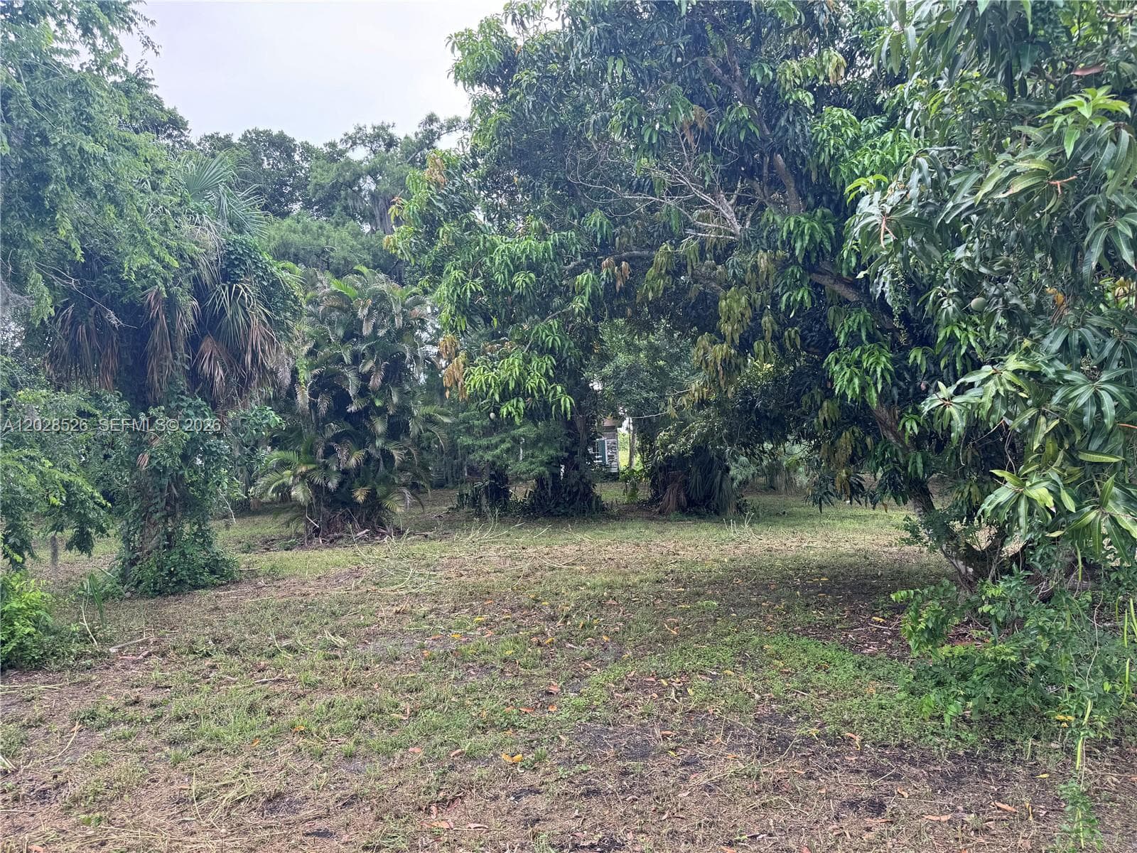 19121 SW Conners Hwy, Port Mayaca, FL 33438 photo 4