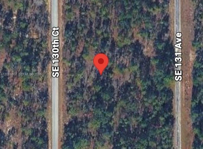 Lot 49 SE 130th Ct, Other City - In The State Of Florida, FL 34431 photo 2