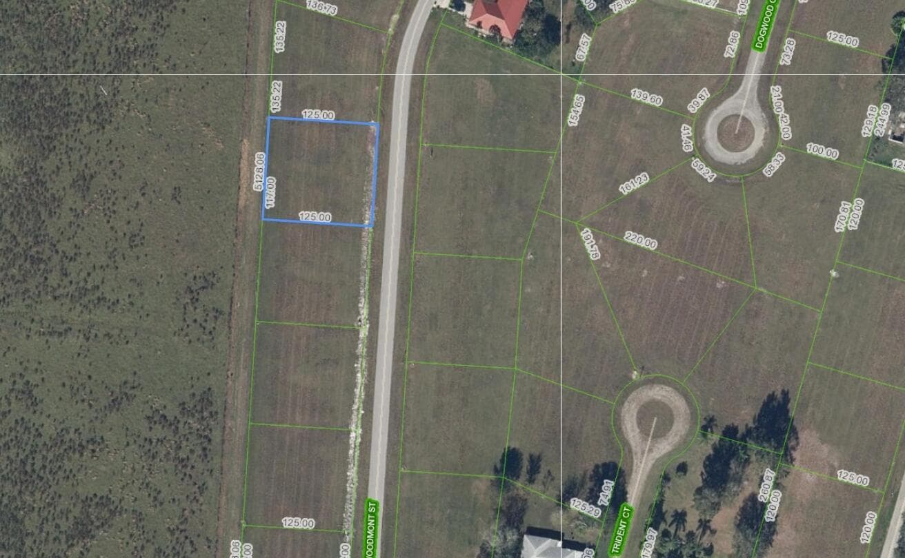 824 Woodmont Street, Sebring, FL 33876 photo 2
