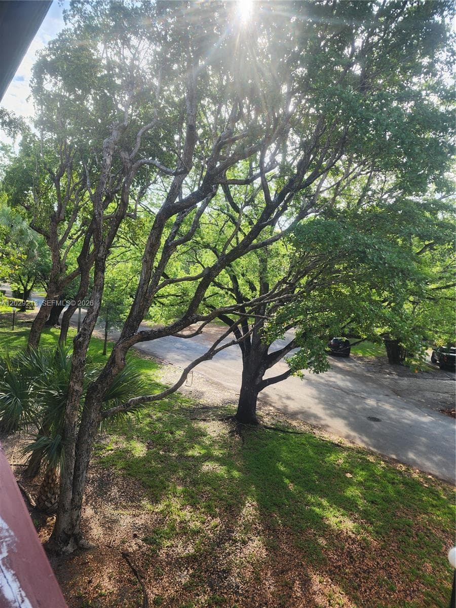 1205 Mariposa Ave # 304, Coral Gables, FL 33146 photo 2