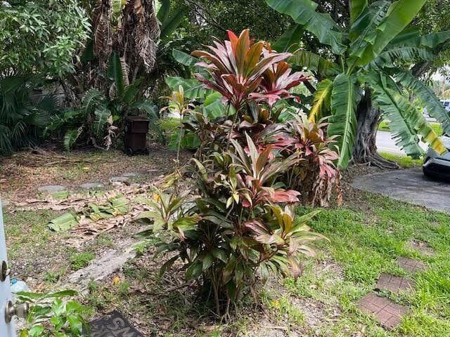 2025 Delphia Street, West Palm Beach, FL 33401 photo 5