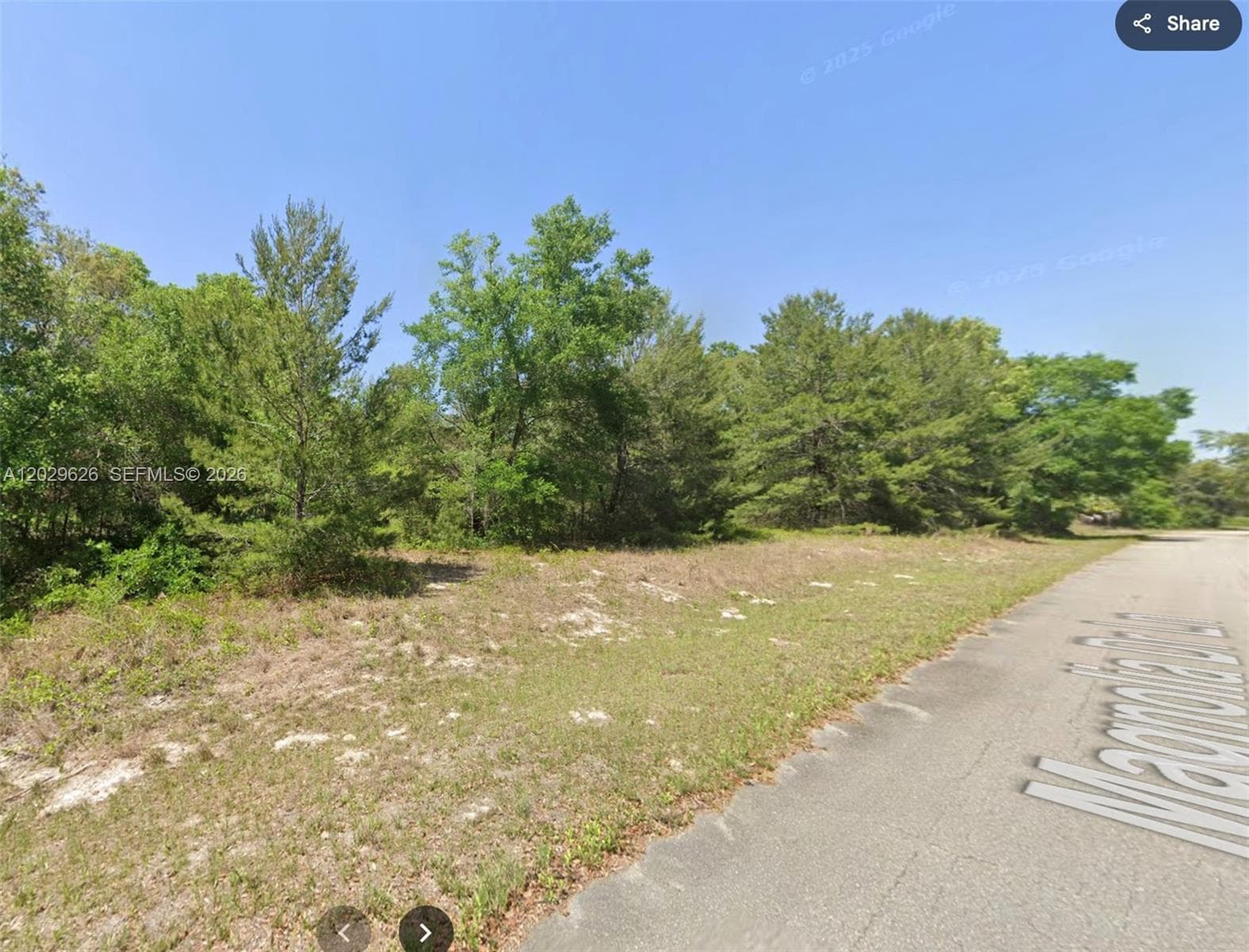 n/a SE Magnolia Drive Ln, Other City - In The State Of Florida, FL 32179 photo 3