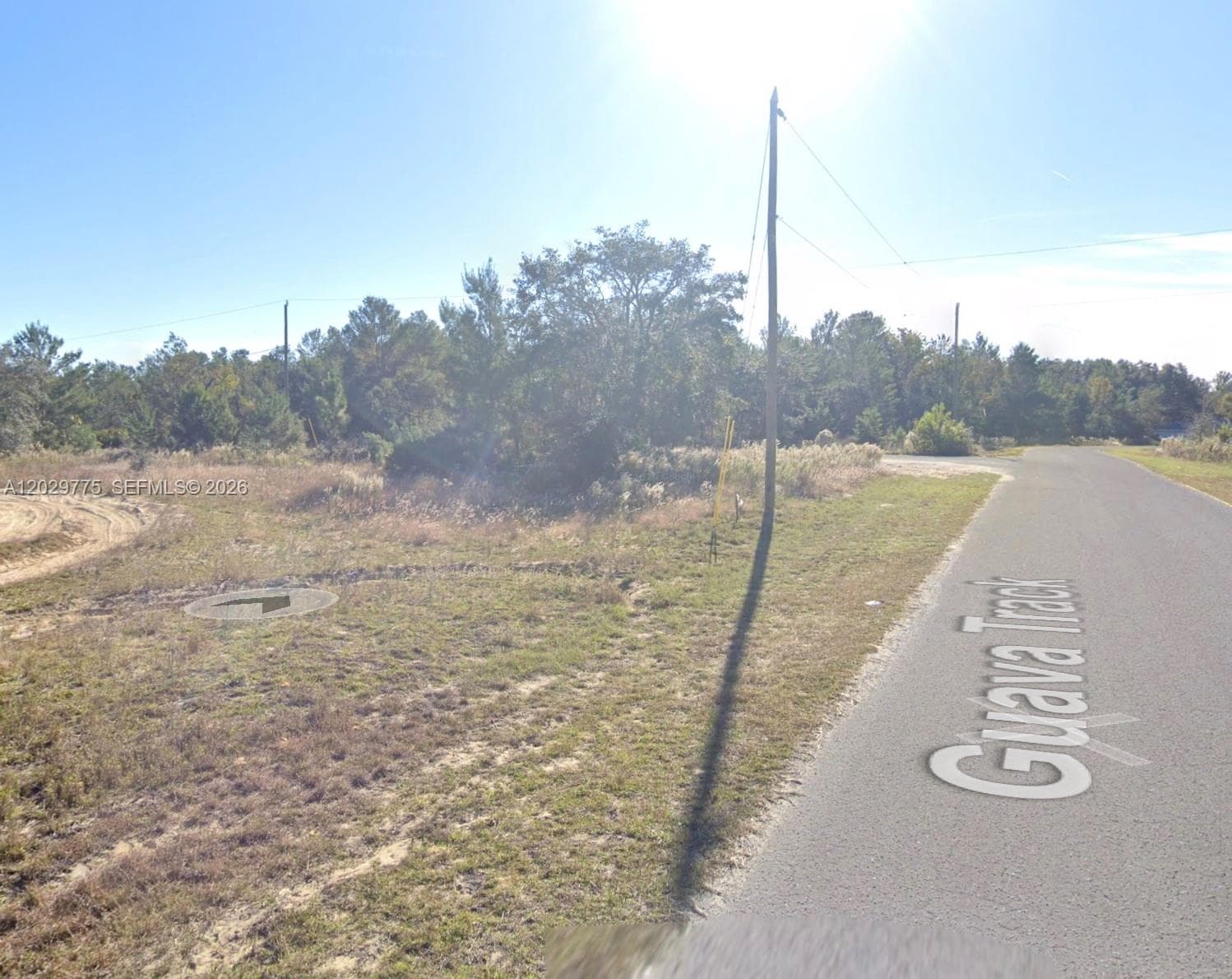 n/a Fisher Run Trace, Other City - In The State Of Florida, FL 32179 photo 2