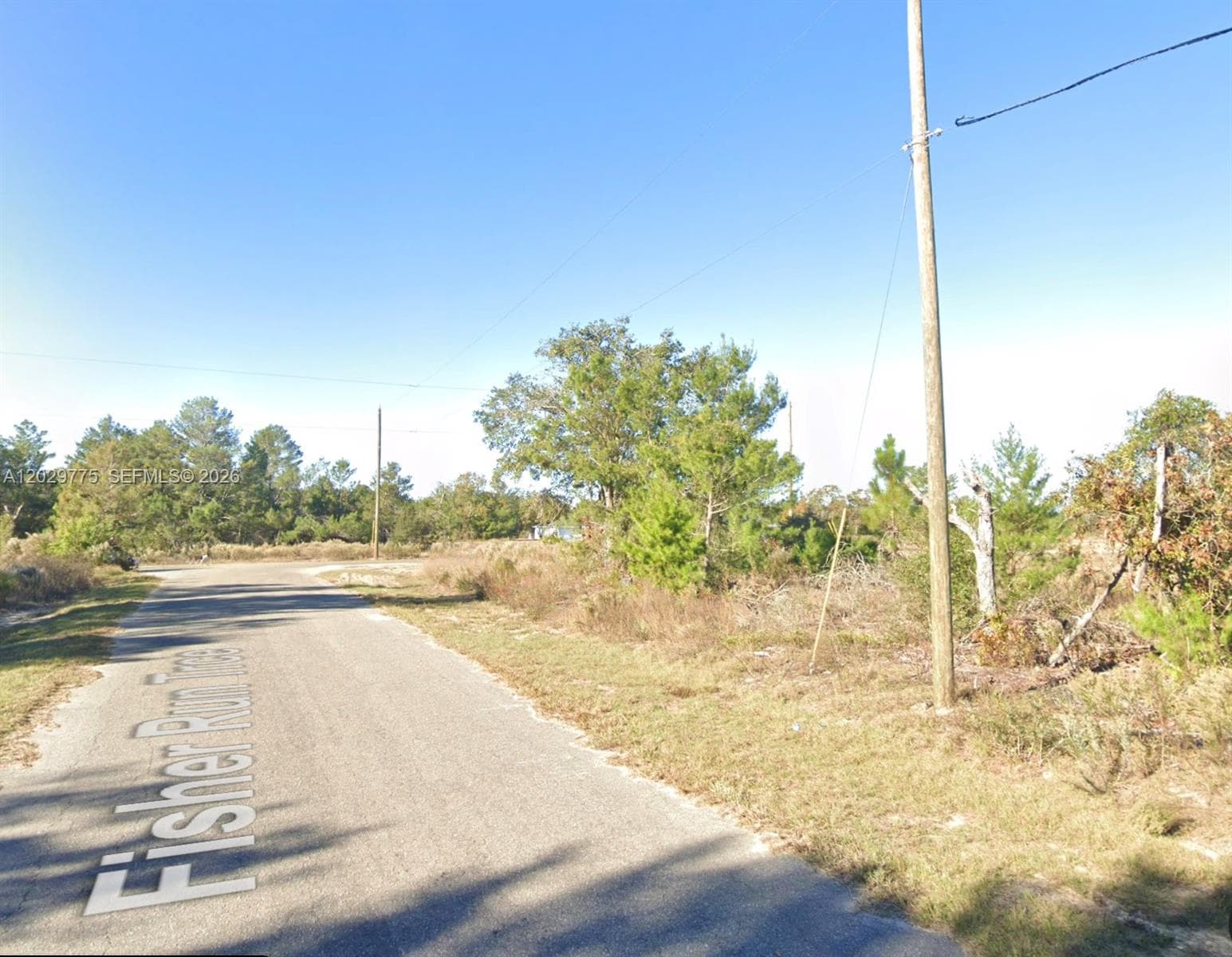 n/a Fisher Run Trace, Other City - In The State Of Florida, FL 32179 photo 3