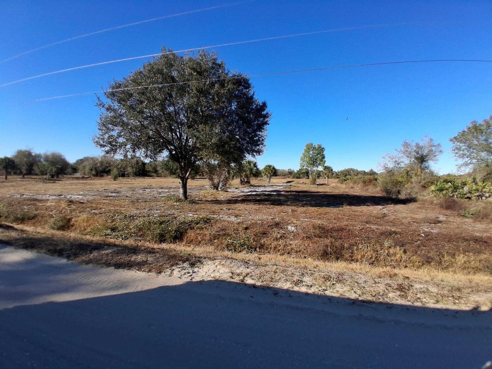 19981 NW 304th Street, Okeechobee, FL 34972 photo 4