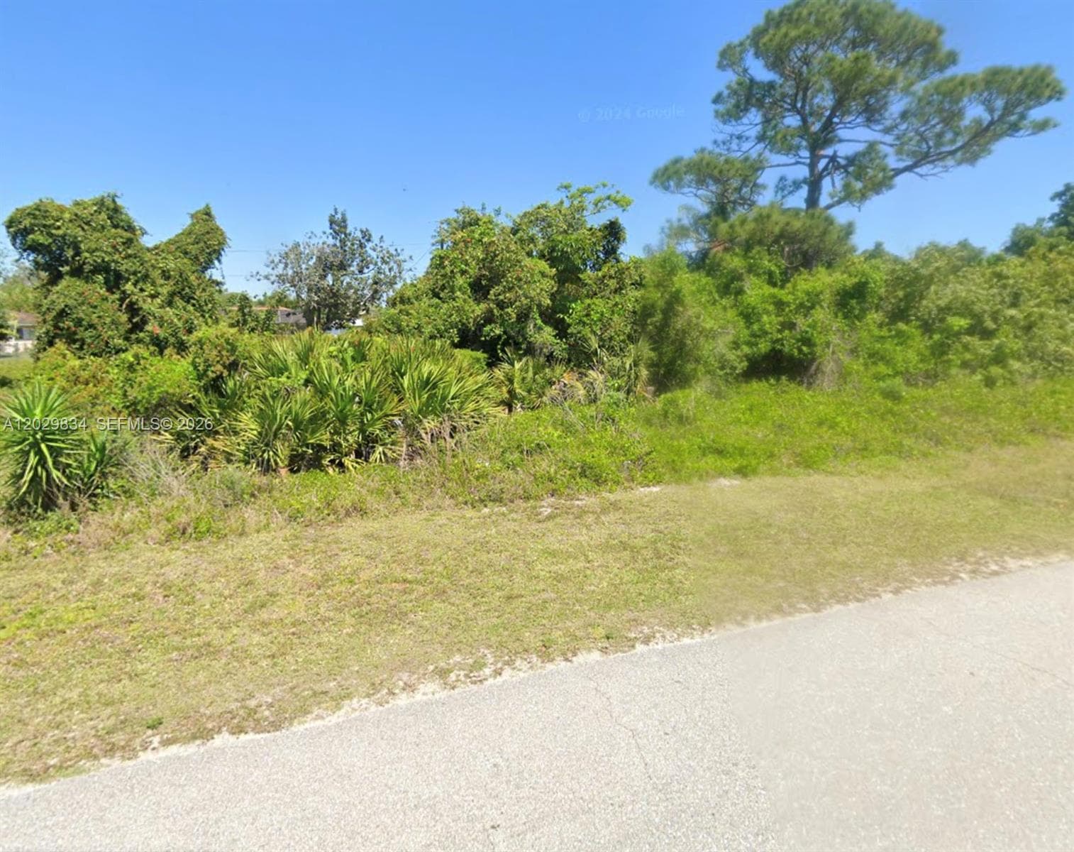 220 Heppner Ave, Lake Placid, FL 33852 photo 3